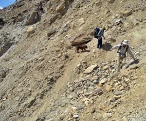 uttarakhand char dham yatra update.