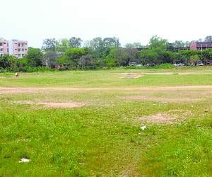 International Cricket Pitch in Punjab University