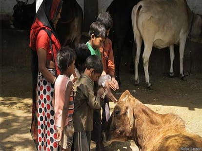 women earn money from cow urine