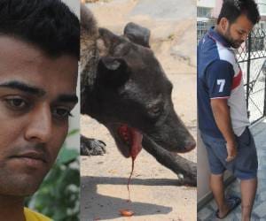 dog bite