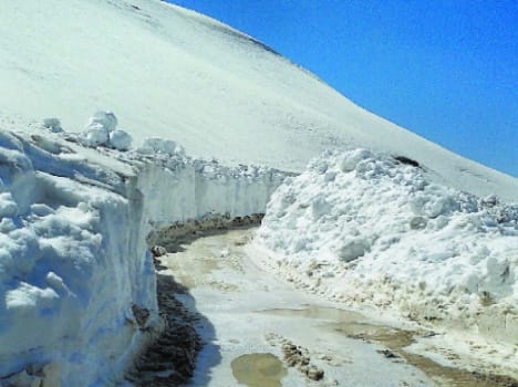 snowfall, raining in himachal pradesh