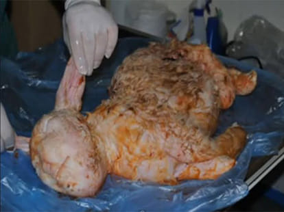 sheep gives birth to human