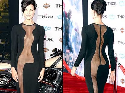 Celebrity Sheer Dress