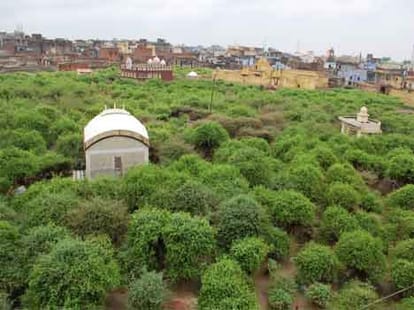 mystery of nidhivan vastu