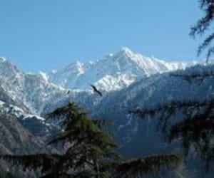 modi wave works in himachal