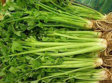 health benefits of celery leaves