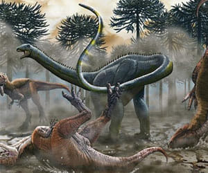 titanosauras fossil found