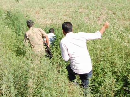 akhilesh takes decision on badayun rape case 