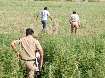 robbery in haridwar