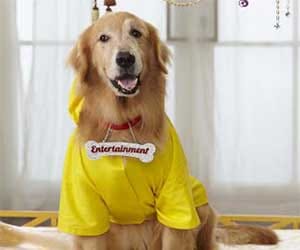it's Entertainment: Interaction between Akshay and the dog