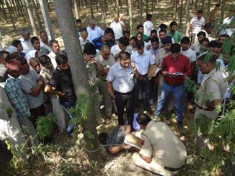 farmer killed by his cousin
