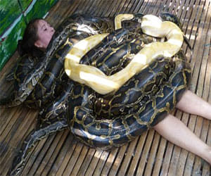 snake massage