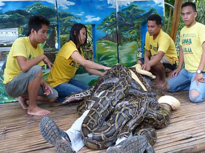 snake massage