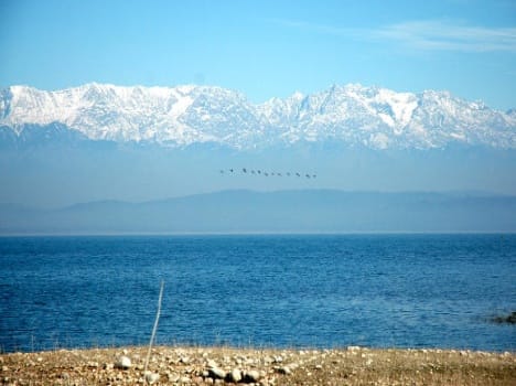 pong will get status of international tourist point