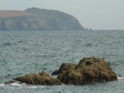 pong will get status of international tourist point