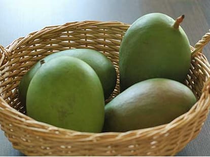 one mango tree have different variety
