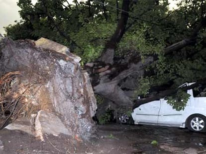 Three killed in storms in Delhi