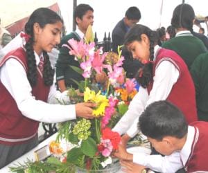 Monal Public School won the compitetion