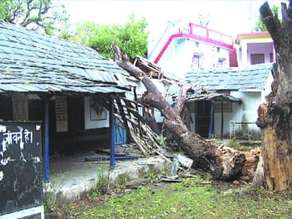 A tree fall on school building in kangra
