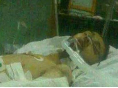 News of YoYo's accident is a fake rumor