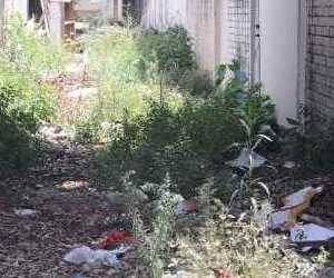 Renovation of Streets in Mohali by Nagar Nigam