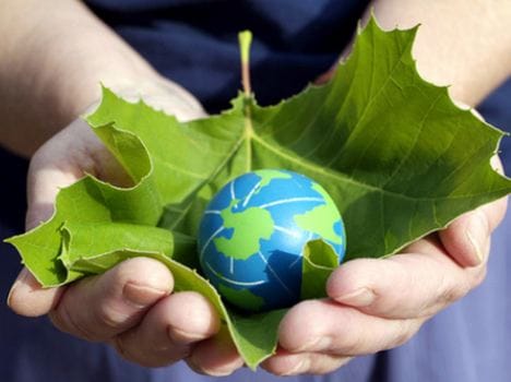 By manipulating the environment , giving serious Challenges said Governor