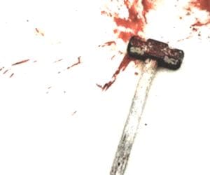 murder case at humirpur, a person killed priest
