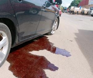 Grandfather and grandson killed in road accident 