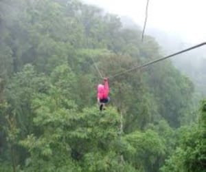 Tourist died at Kufri during zip line Adventure sport