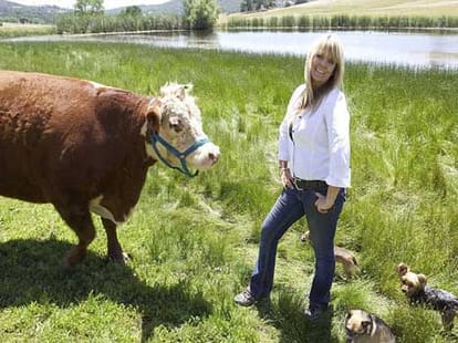 cow who never eats grass
