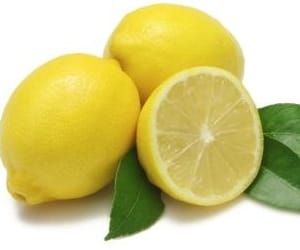sweet lemon tree in pithoragarh.