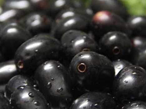 health benefits of jamun