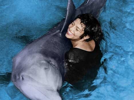 dolphin who loved a woman