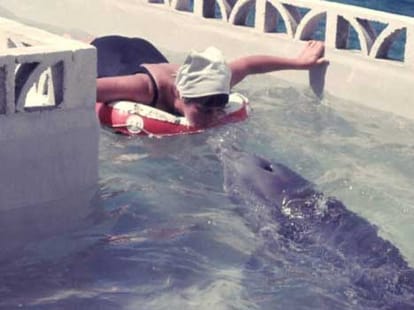 dolphin who loved a woman