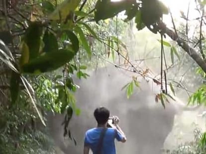 man stopped elephant in its way to kill people