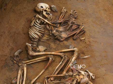 foreigner skeleton found in forest