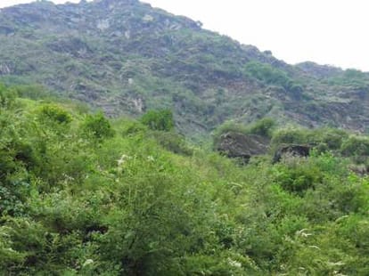 dead body of people found on road in kedarnath