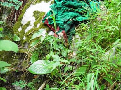 dead body of people found on road in kedarnath