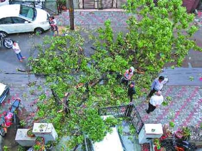 Rain and Strom in Chandigarh