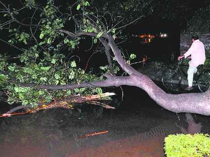Rain and Strom in Chandigarh