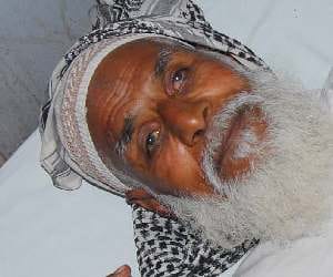 old man eat little snake