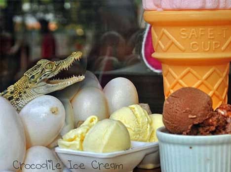 icecream made of crocodile eggs