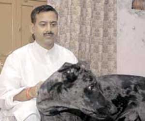 Krishnanand Rai murder: Sharp shooter Chunnu Pahlwan arrests
