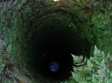 a worker dies falling into well