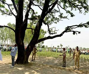 dead body found hanging on tree