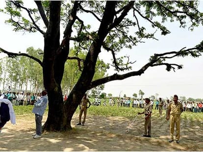 woman found hanging from tree in lucknow