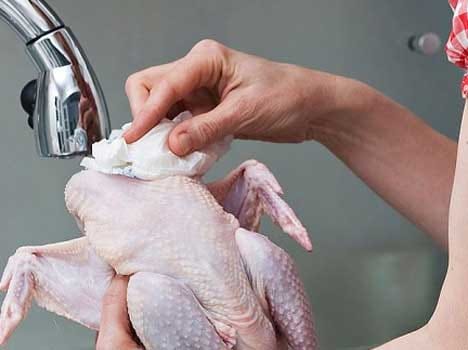 ill chickens of delhi ncr in jammu