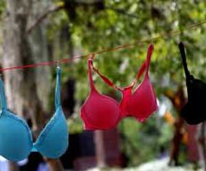 Italian man busted for stealing bras, women's undergarments