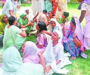 three brother killed in firing for land dispute