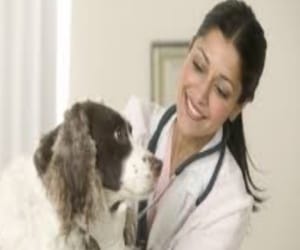 Animal Husbandry Department met 59 doctors